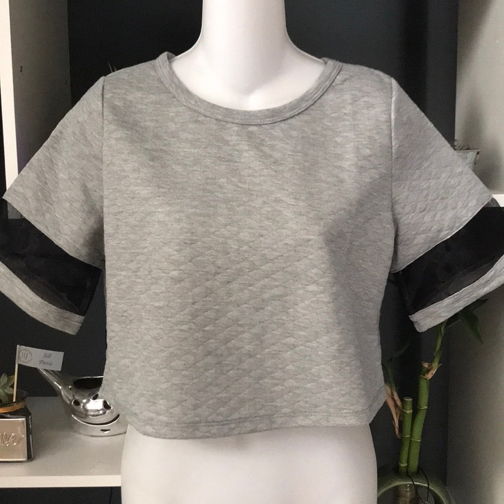 🛍PRICE DROP!🛍 Heather Gray Crop Top Mesh